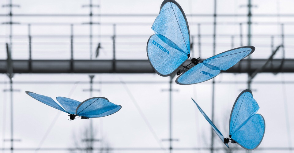 emotionbutterflies drone festo duitsland vlinder 2015