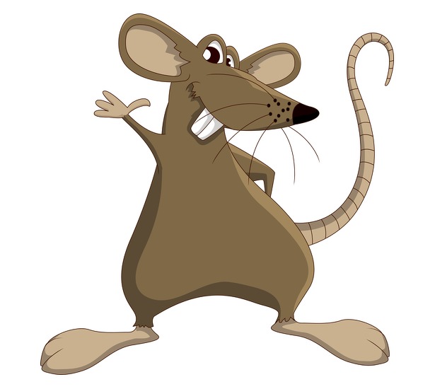 rat-muis