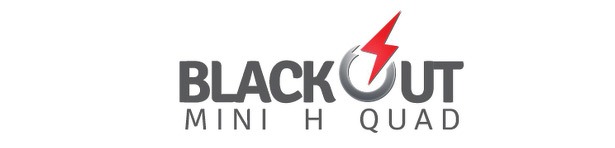 team_blackout_logo_fpv_racen